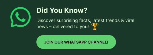 WhatsApp Channel